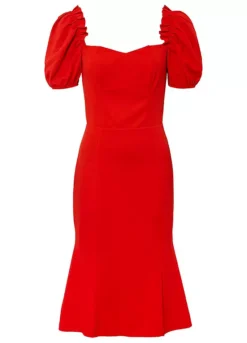 Puff Sleeve Party Dress -Enchanted Styles Puff Sleeve Party Dress918878FRSC